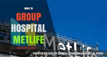 Understanding Group Hospital MetLife: A Comprehensive Guide