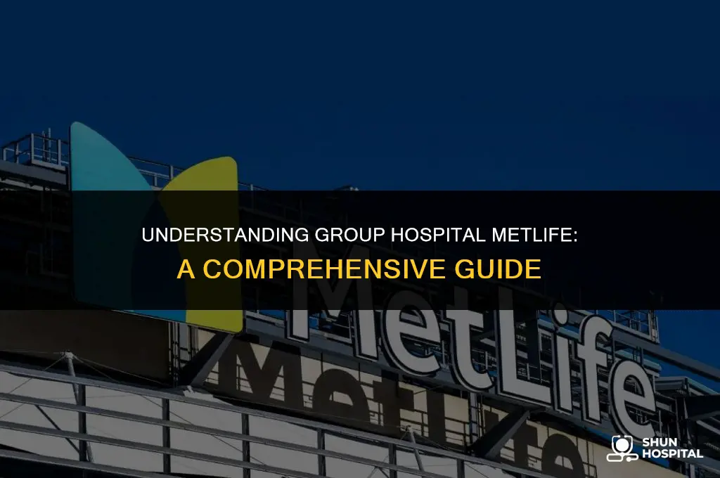 what is group hospital metlife