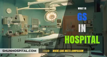 Understanding GS in Hospitals: A Comprehensive Guide