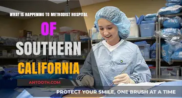 Methodist Hospital of Southern California: Current Challenges and Future Outlook