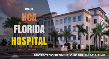 Exploring HCA Florida Hospital: Services, Locations, and Patient Care