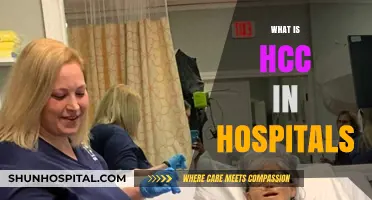 Understanding HCC in Hospitals: A Comprehensive Guide