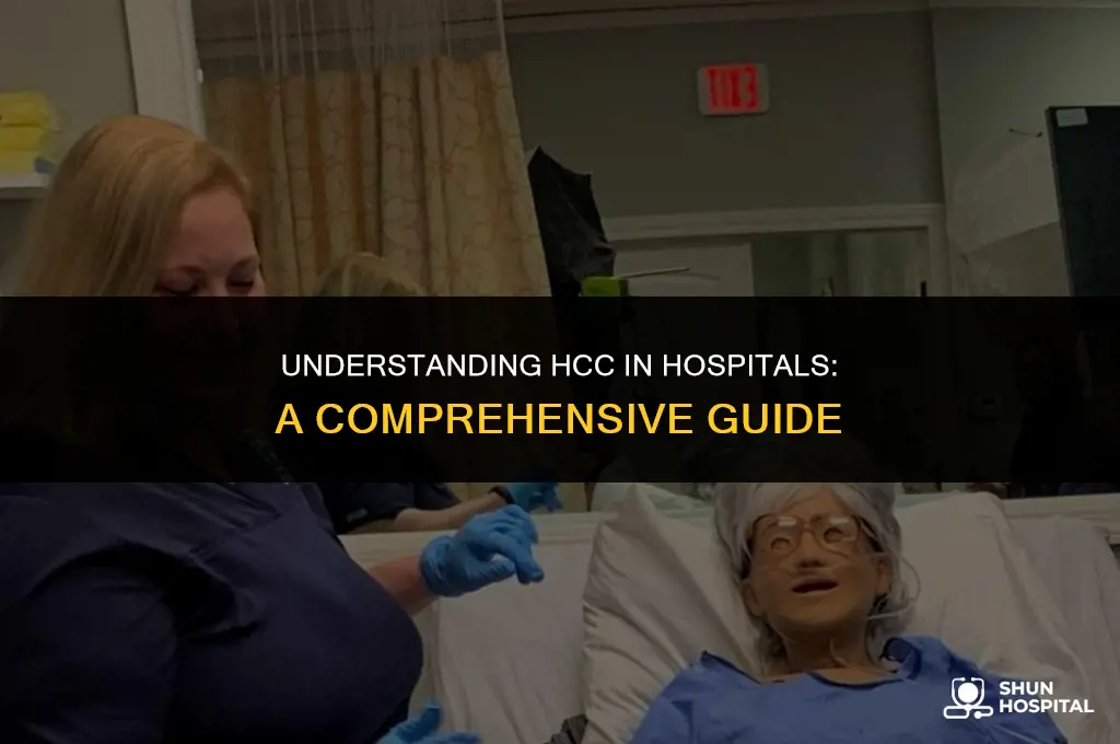 what is hcc in hospitals