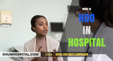 Understanding HDO in Hospitals: A Comprehensive Guide