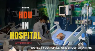 Understanding HDU: A Crucial Component of Modern Hospital Care