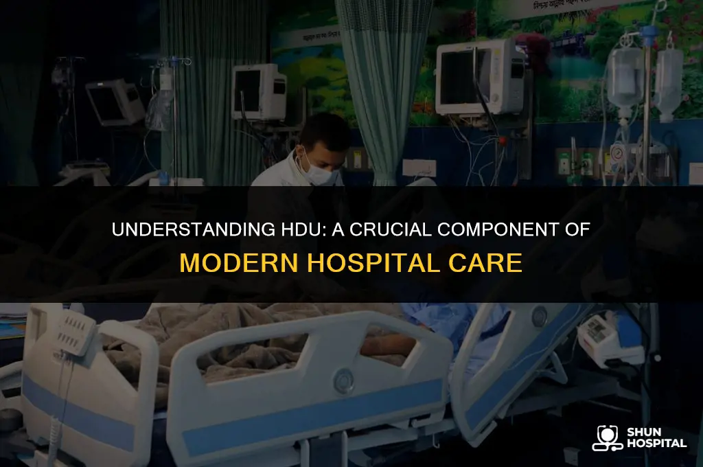 what is hdu in hospital