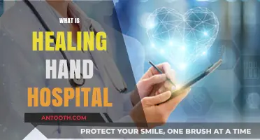Discovering Hope: The Healing Hands Hospital Journey