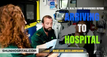 Pre-Hospital Health Care: Essential Steps Before Reaching the Hospital