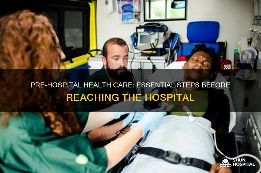 what is health care considered before arriving to hospital