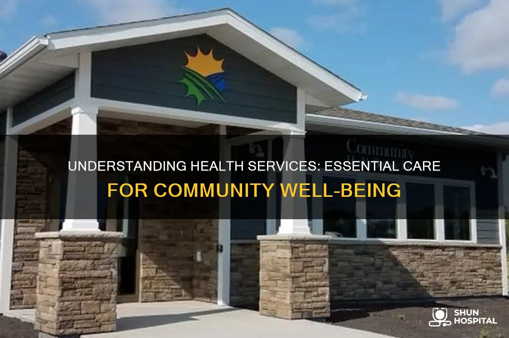 what is health service