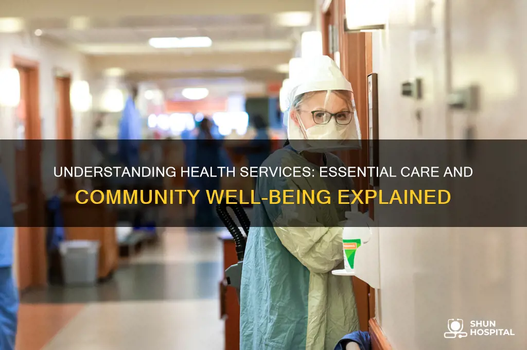 what is health services