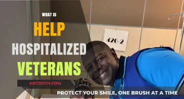 Supporting Our Heroes: How You Can Help Hospitalized Veterans