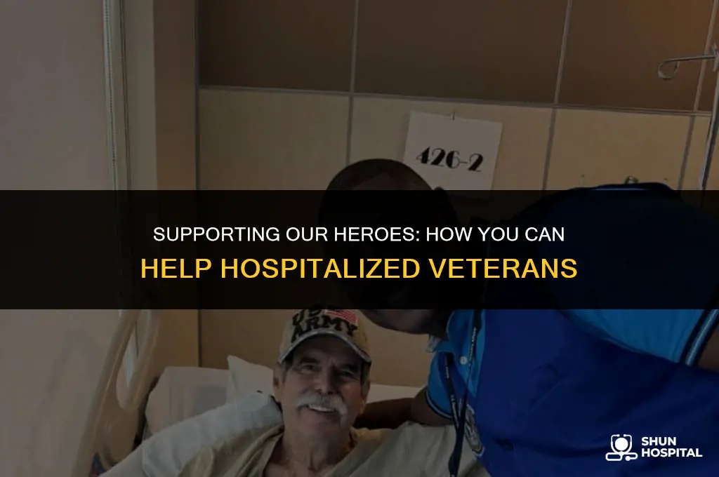 what is help hospitalized veterans