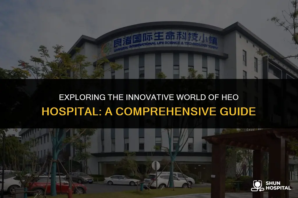 what is heo hospital
