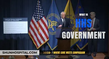 Understanding the Role and Impact of HHS in U.S. Government