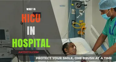 Understanding the ICU: A Guide to Hospital Intensive Care Units
