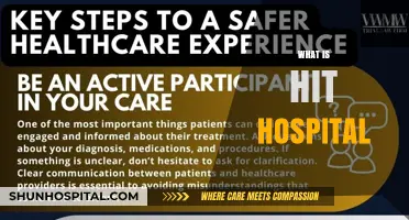 Understanding HIT Hospitals: A Comprehensive Guide to Healthcare Information Technology