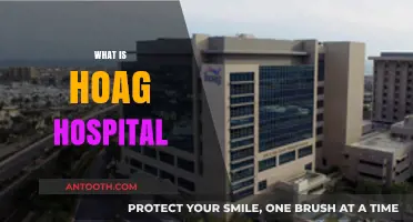 Exploring Hoag Hospital: A Comprehensive Guide to Its Services and Reputation