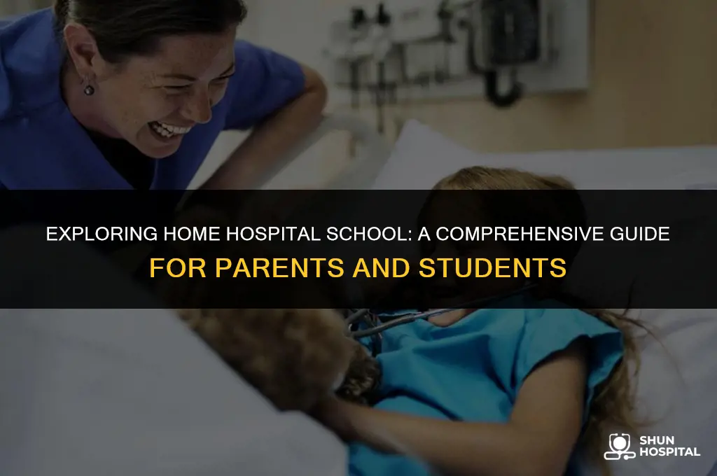 what is home hospital school