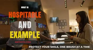 Exploring Hospitality: Definitions and Real-Life Examples