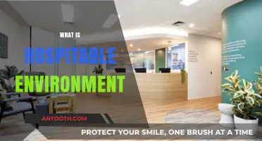 Creating a Hospitable Environment: A Guide to Welcoming Spaces