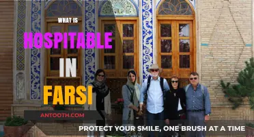 Exploring the Depths of Hospitality in Farsi Culture