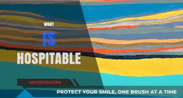 Understanding Hospitable: The Art of Warmth, Welcome, and Generosity