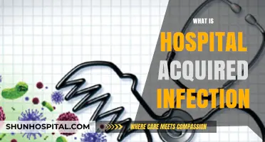 Understanding Hospital-Acquired Infections: Causes, Prevention, and Treatment