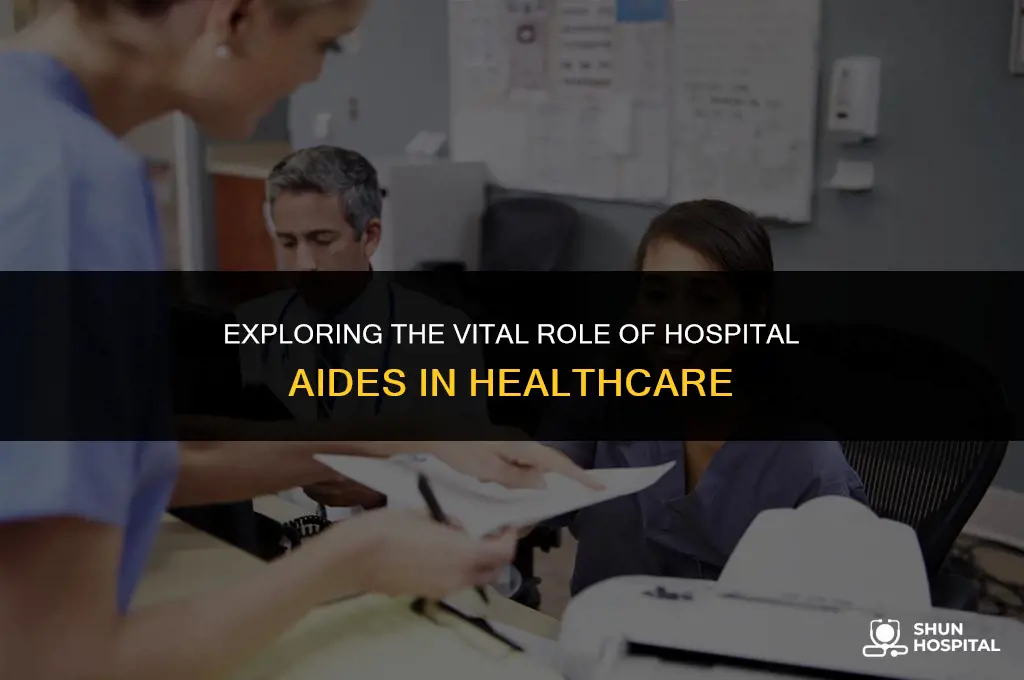 what is hospital aide
