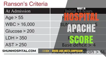 Understanding the APACHE Score: A Guide to Hospital Patient Assessment