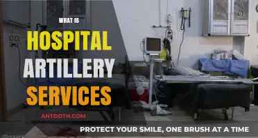 Exploring Hospital Artillery Services: A Comprehensive Guide