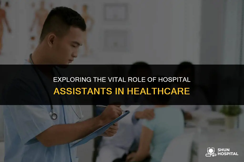 what is hospital assistant
