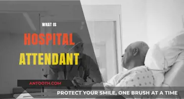 Exploring the Role of a Hospital Attendant: Duties and Responsibilities