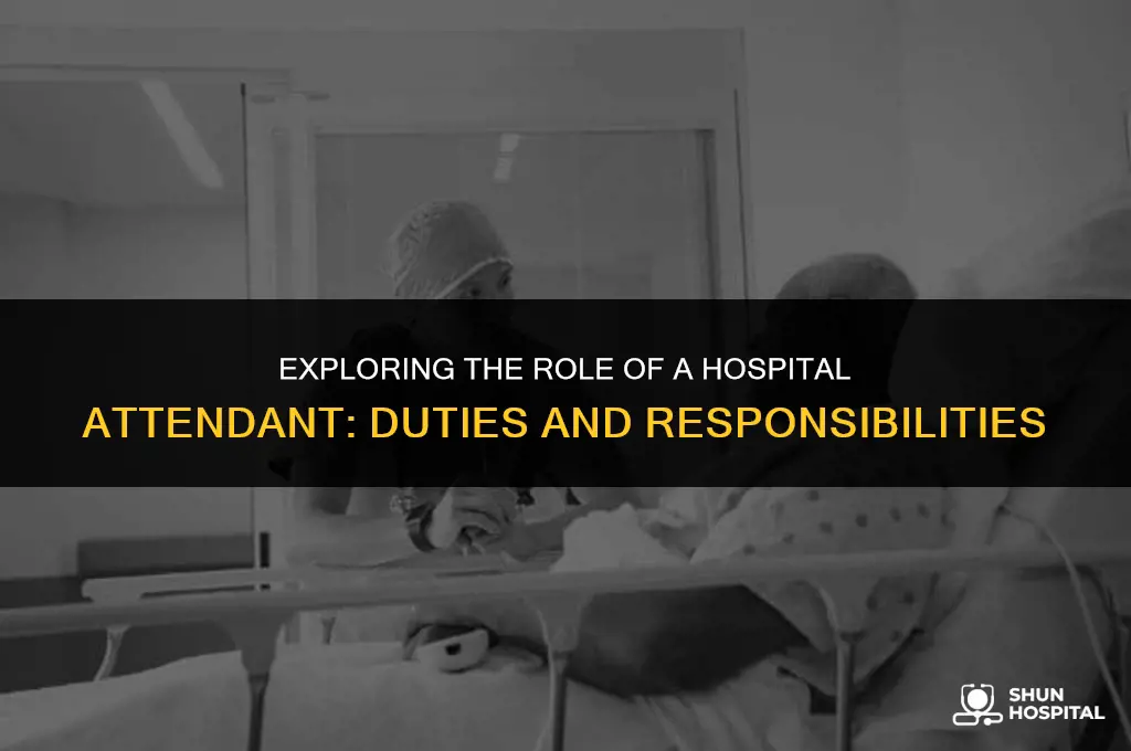 what is hospital attendant