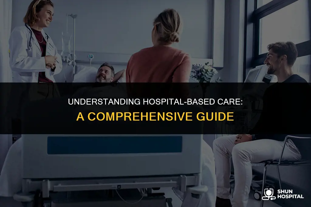 what is hospital based care