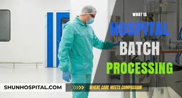Streamlining Healthcare Operations: The Power of Hospital Batch Processing