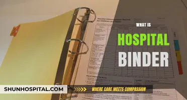 Organizing Medical Records: The Essential Guide to Hospital Binders