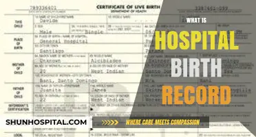 Exploring the Essentials of Hospital Birth Records: A Comprehensive Guide