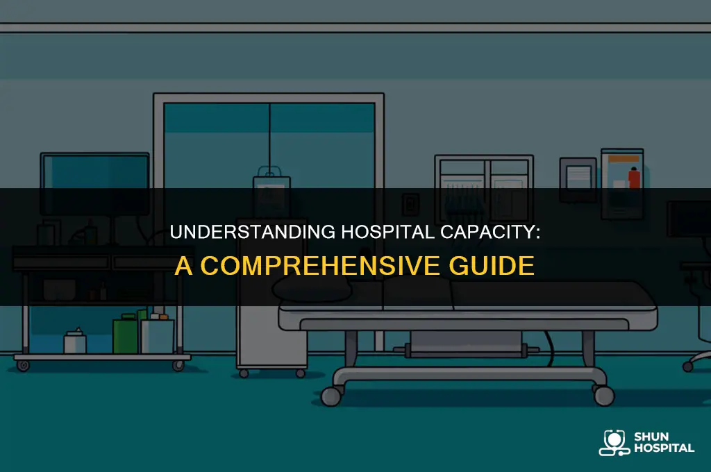 what is hospital capacity