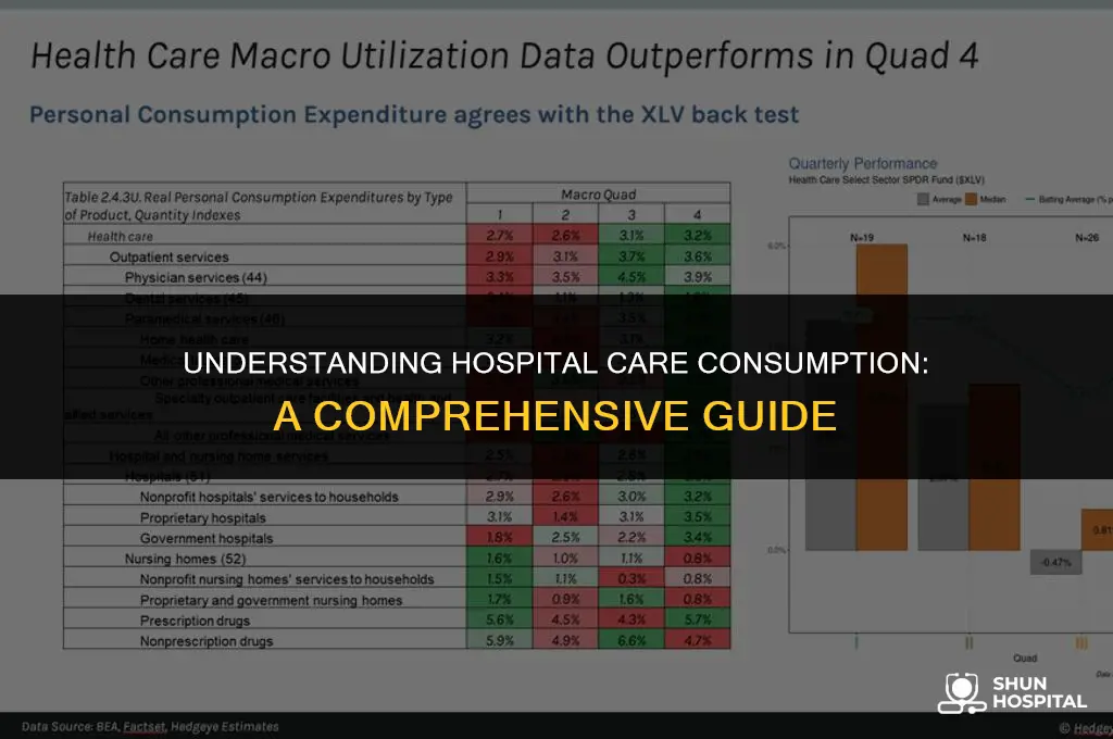 what is hospital care consumption