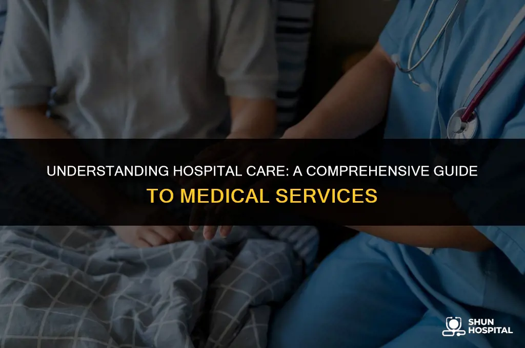 what is hospital care