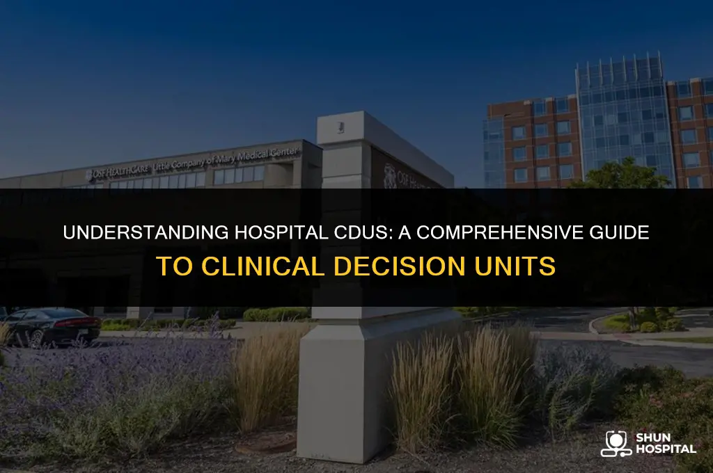 what is hospital cdu