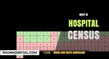 Understanding Hospital Census: A Comprehensive Guide for Healthcare Professionals