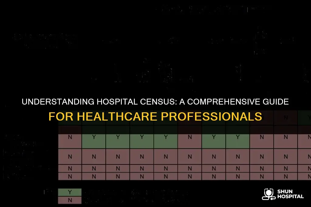 what is hospital census
