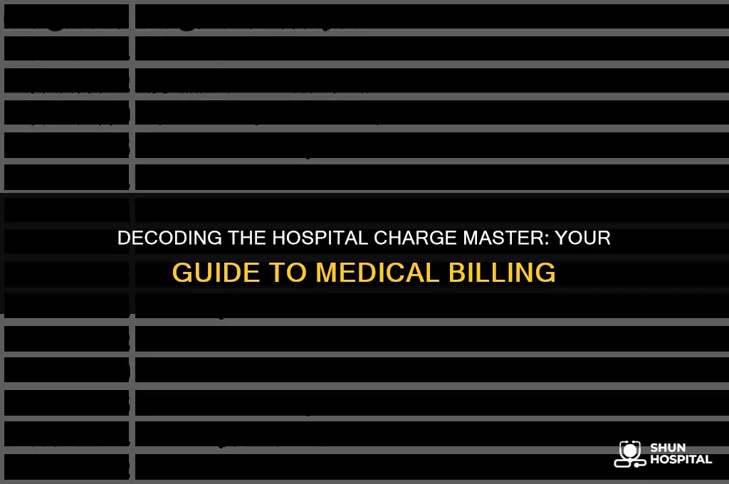 what is hospital chargemaster