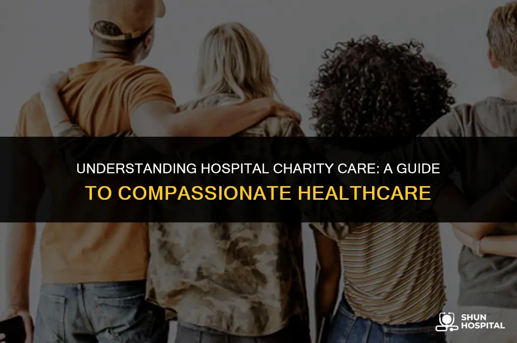 what is hospital charity care
