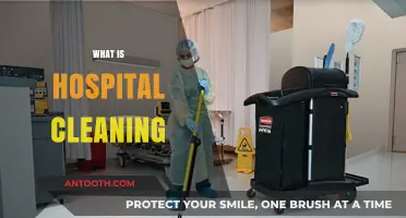 Maintaining Hygiene: The Crucial Role of Hospital Cleaning