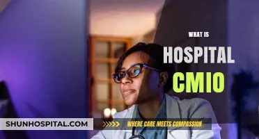 Exploring the Role of a Hospital CMIO: Responsibilities and Impact