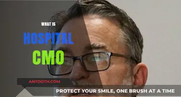 Exploring the Role and Responsibilities of a Hospital CMO