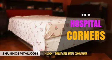 Exploring the Art of Hospital Corners: A Beginner's Guide